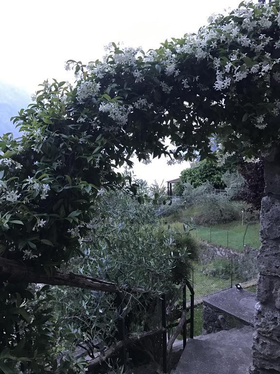 B&B Bellavista Castro  Luaran gambar